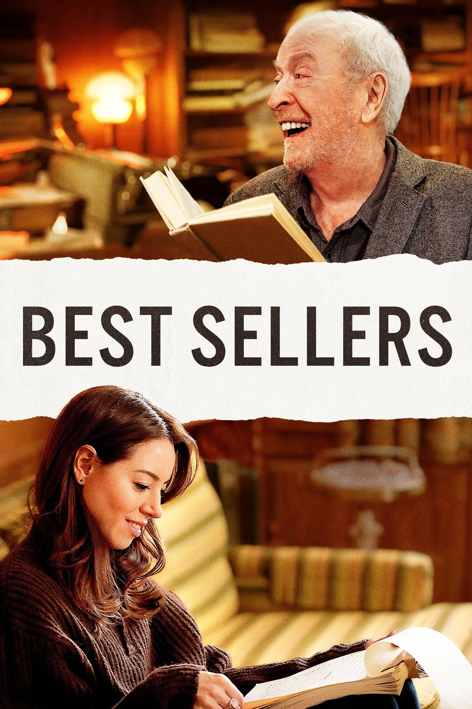 Best Sellers Hindi Dubbed Movie Poster (2021)