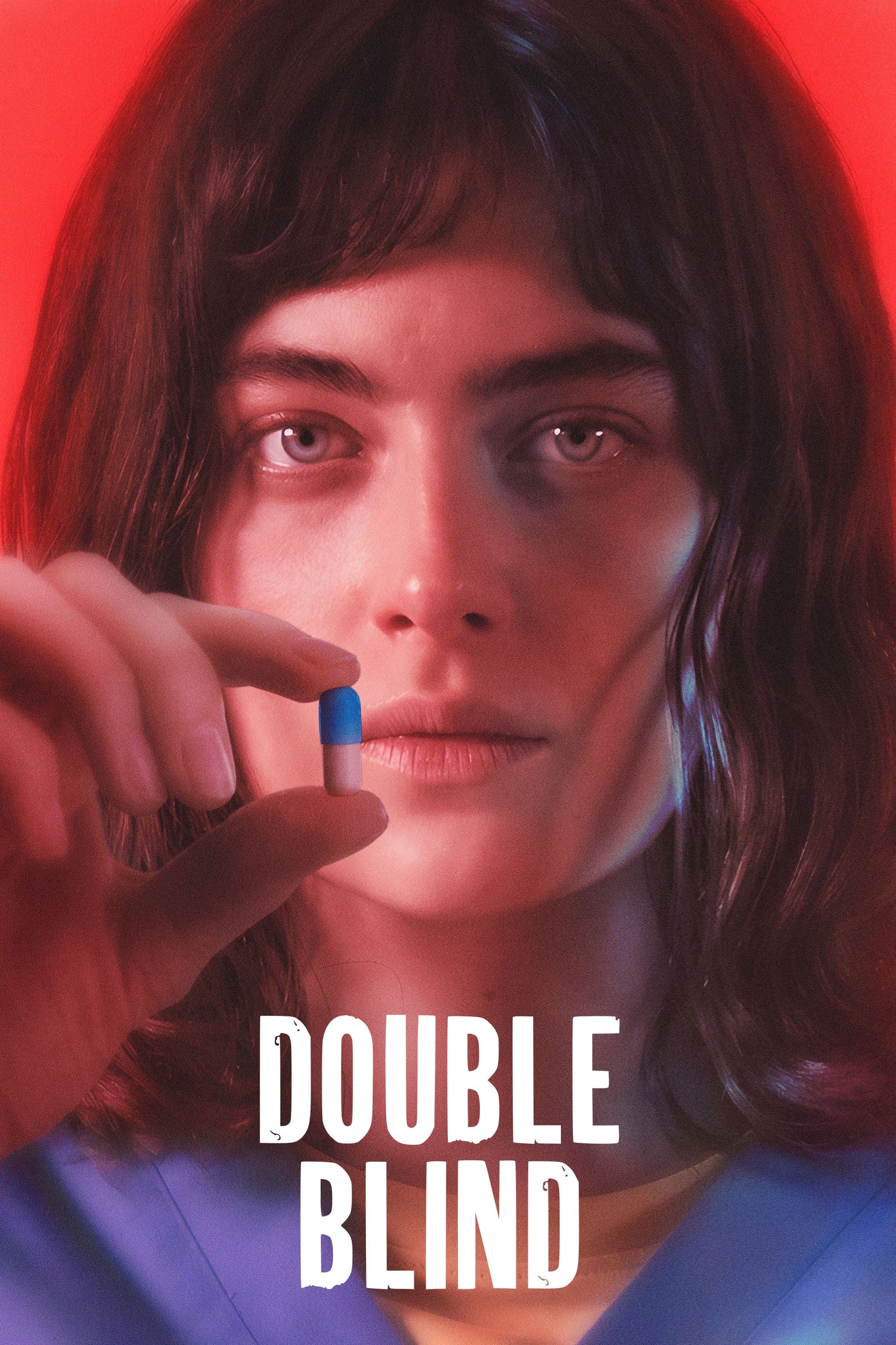 Double Blind Hindi Dubbed Movie Poster (2024)
